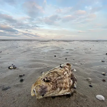 Διαμέρισμα Im Haus Nordland Nordland, App 41