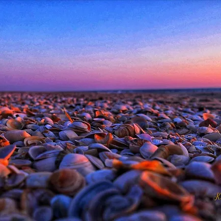 Im Haus Nordland Nordland, App 41 * Βέστερλαντ